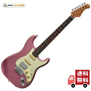 �o�b�J�X BACCHUS BST-2-RSM/R BGM �G���L�M�^�[