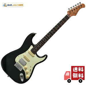 �o�b�J�X BACCHUS BST-2-RSM/R BLK �G���L�M�^�[