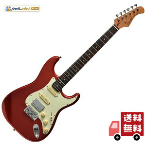 �o�b�J�X BACCHUS BST-2-RSM/R CAR �G���L�M�^�[