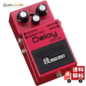 BOSS/DM-2W Analog Delay �Z Waza Craft �{�X