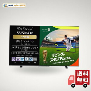 REGZA 55�C���` 4K �t�� 55M550M �X�}�[�g�e���r Airplay�Ή� 2023�N���f��