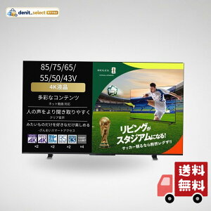 REGZA 65�C���` 4K �t�� 65M550M �X�}�[�g�e���r Airplay�Ή� 2023�N���f��