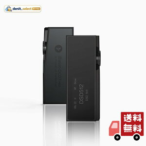 �yVGP2025���܁ziBasso Audio DC07PRO �A�C�o�b�\ Quad DAC���ڃ|�[�^�u��DAC/AMP �w�b�h�t�H���A���v CS43131×4 4.4mm�o�����X 3.5mm�V���O���G���h USB Type-C PCM 32bit /