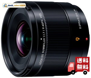 �p�i�\�j�b�N(Panasonic) Panasonic �L�p �P�œ_ LUMIX �J���������Y �����\�����Y �f�W�^�����J�����p H-X09
