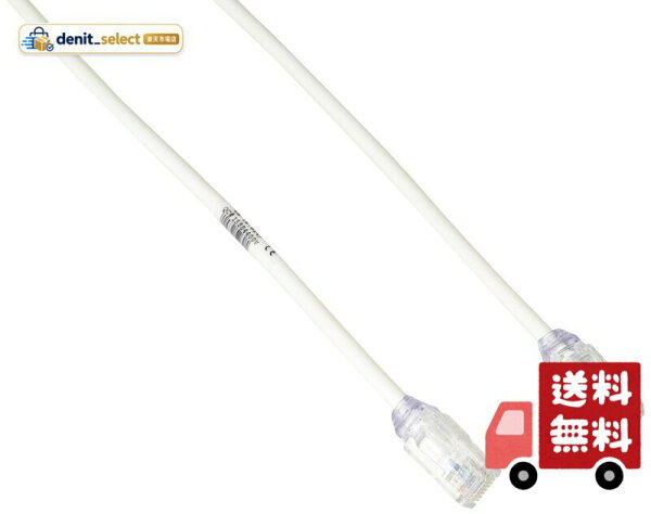 パンドウイットコーポレーション LANケーブル Cat6A 超極細 プロ仕様 2m オフホワイト UTP28X2M