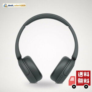 �\�j�[(SONY) ���C�����X�w�b�h�z�� WH-CH520:Bluetooth�Ή�/�y�ʐ݌v ��147g/��p�A�v���Ή��ɂ��D�݂̉����ɃJ�X�^�}�C�Y�ł���u�C�R���C�U�[�v�ݒ�Ή�/�u���b�N WH-CH520 B ��