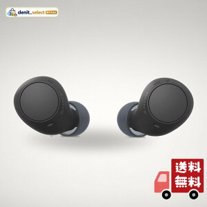 �\�j�[(SONY) ���S���C�����X�C���z�� WF-C510 / �y�ʏ��^4.6g / �����x�ʘb�i��/�O����荞�ݑΉ�/�}���`�|�C���g�Ή� / IPX4�h�H���\ / �u���b�N/WF-C510 BC
