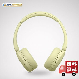 �\�j�[(SONY) ���C�����X�w�b�h�z�� WH-CH520 �C�G���[ Bluetooth �y�ʐ݌v ��147g ��p�A�v���Ή��ɂ��D�݂̉����ɃJ�X�^�}�C�Y�ł���u�C�R���C�U�[�v�ݒ�Ή� �ő�50���ԘA���Đ� 3���[�d�ō�