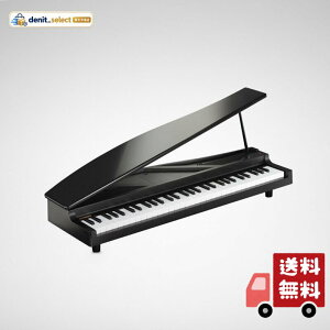 KORG MICROPIANO �}�C�N���s�A�m �~�j����61�� �u���b�N 61�Ȃ̃f���\���O���� �������t�\