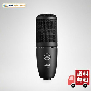 AKG (�A�[�J�[�Q�[) P120 Project Studio Line �y �{�[�J��/�y��̃��R�[�f�B���O�ɍœK ��v�ȃI�[�����^���{�f�B ���S�ȃf�U�C�� ���[�J�b�g�t�B���^�[ �p�b�h���� �J�[�f�B�I�C�h �z �R���f���T