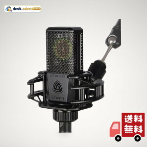 �y�������K�i�zLEWITT LCT 440 PURE �R���f���T�[�}�C�N ���[�W�_�C�A�t���� �P��w���� �{�[�J�� �z�M �^�� ���R�[�f�B���O �y�� �|�b�v�t�B���^�[�t��