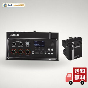 ���}�n YAMAHA �G���N�g���j�b�N�A�R�[�X�e�B�b�N�h�������W���[�� EAD10