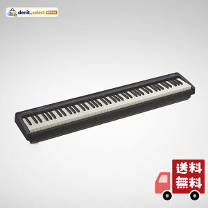 Roland(���[�����h) FP-10-BK �d�q�s�A�m �|�[�^�u���s�A�m