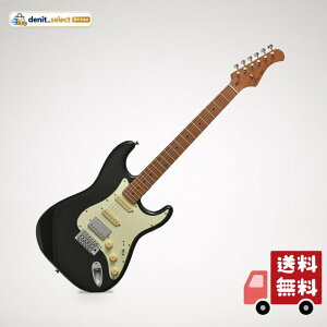 �o�b�J�X BACCHUS BST-2-RSM/M BLK �G���L�M�^�[