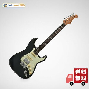 �o�b�J�X BACCHUS BST-2-RSM/R BLK �G���L�M�^�[