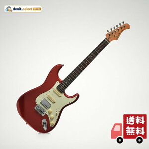 �o�b�J�X BACCHUS BST-2-RSM/R CAR �G���L�M�^�[