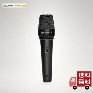 LEWITT MTP 5 Live Vocal Microphone Switch Version �{�[�J���}�C�N XLR ���C�u
