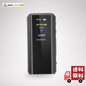 FIIO BTR13 Black Bluetooth DAC �A���v QCC5125 �n�C���] �O���[�o��PEQ LDAC aptX 3.5mm 4.4mm �o�����X