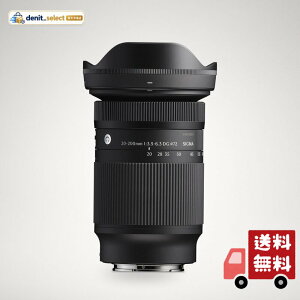 �V�O�}(Sigma) �����Y 20-200mm F3.5-6.3 DG Sony E �}�E���g ���{���Y�[�� �W�� �t���T�C�Y Contemporary �~���[���X��p