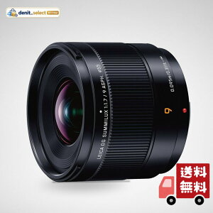 �p�i�\�j�b�N(Panasonic) Panasonic �L�p �P�œ_ LUMIX �J���������Y �����\�����Y �f�W�^�����J�����p H-X09