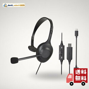 �I�[�f�B�I�e�N�j�J ATH-101USB �w�b�h�Z�b�g USB �L��