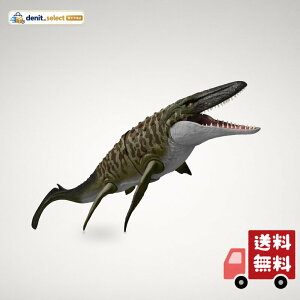 ���i�摜
