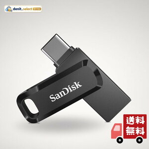 Sandisk SDDDC3-256G-G46 USB Memory 256GB
