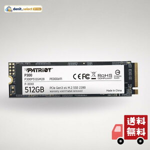 Patriot Memory P300 512GB M.2 SSD 2280 NVMe PCIe Gen 3x4 �����^SSD P300P512GM28