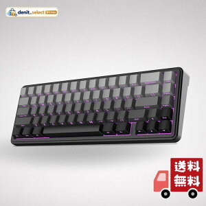 EPOMAKER x AULA F65 65%���C�����X���J�j�J���L�[�{�[�h �z�b�g�X���b�v�Ή��K�X�P�b�g�J�X�^���Q�[�~���O�L�[�{�[�h 5�w�p�b�h