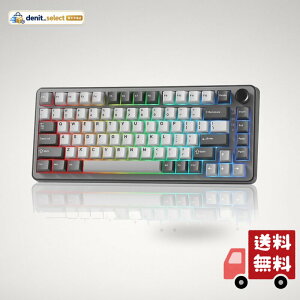 YUNZII B75 PRO 75% �K�X�P�b�g�Q�[�~���O�L�[�{�[�h �������J�j�J���L�[�{�[�h BT/2.4G/�L�� ���C�����X �z�b�g�X���b�v ���� RGB �m�u�t���J�X�^���L�[�{�[�h Mac/Win�p �Z�K�F�؎擾 (�_�[�N�O���[,