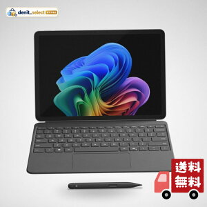 �}�C�N���\�t�g ���ʃ��f�� Surface Pro 12 �C���` �v���`�i Snapdragon X Plus/16/256 + �L�[�{�[�h(�X�����y���t��)�X�g�[�� �O���[ + 45W USB-C �[�d�� EP2-46399