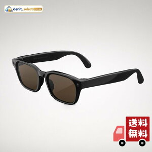 [Meta] Glasses Adventurer L �u���b�N AI�O���X AI�E12MP�J�����E���C�u�|�� �u���E�������Y