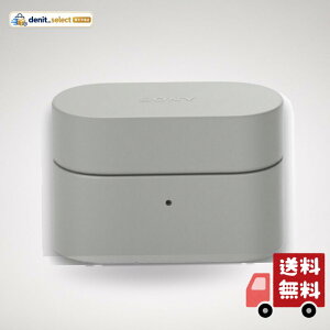 �\�j�[(SONY) WF-1000XM6�p�P�[�X�J�o�[ �v���`�i�V���o�[ HAC1000XM6CHC