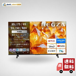 ���O�U 43V�^ 4K�t���e���r 43E350S �l�b�g����Ή� / 4K����/2���/�u���Q�[�����[�h