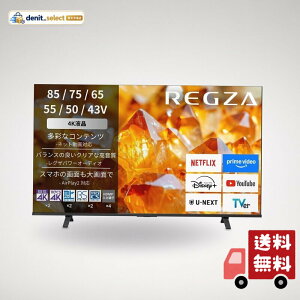���O�U 55V�^ 4K�t���e���r 55E350S �l�b�g����Ή� / 4K����/2���/�u���Q�[�����[�h