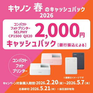 �L���m�� Canon �X�}�[�g�t�H���p�v�����^�[ QX20�O���[ (���ϋv/�V�[����/�R���p�N�g)