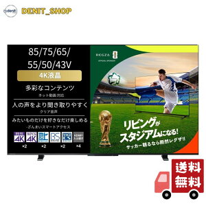 REGZA 55�C���` 4K �t�� 55M550M �X�}�[�g�e���r Airplay�Ή� 2023�N���f��