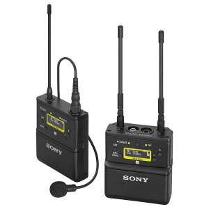 SONY(�\�j�[) B�уA�i���O���C�����X�}�C�N���z���p�b�P�[�W UWP-D21//KBJ