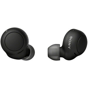 �\�j�[(SONY) ���S���C�����X�C���z�� WF-C500 : /�y�ʏ��^5.4g/�����x�ʘb�i��/�ȒP�y�A�����O/IPX4�h�H���\/�u���b�N WF-C500 BZ