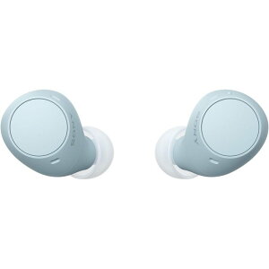 �\�j�[(SONY) ���S���C�����X�C���z�� WF-C510 / �y�ʏ��^4.6g / �����x�ʘb�i��/�O����荞�ݑΉ�/�}���`�|�C���g�Ή� / IPX4�h�H���\ / �u���[/WF-C510 LC