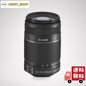 Canon EF-S55-250mm F4-5.6 IS II �y�����^�C�v�z