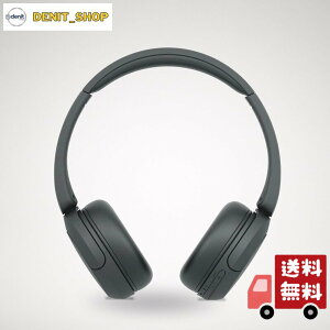 �\�j�[(SONY) ���C�����X�w�b�h�z�� WH-CH520:Bluetooth�Ή�/�y�ʐ݌v ��147g/��p�A�v���Ή��ɂ��D�݂̉����ɃJ�X�^�}�C�Y�ł��� �C�R���C�U�[ �ݒ�Ή�/�u���b�N WH-CH520 B ��