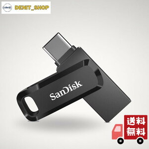 Sandisk SDDDC3-256G-G46 USB Memory 256GB