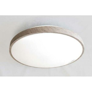 �R�R�j�� COCONIR LED�i�`�������V�[�����O���C�g 12�� CCN-NLC12�qCCNNLC12�r