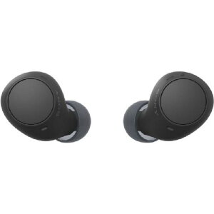 SONY \j[ SCXCz BluetoothΉ DSEE ubN WF-C510BqWFC510-BCr
