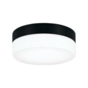 �I�[�f���b�N ODELIC �G�N�X�e���A LED�|�[�`���C�g OW269038NR�qOW269038NR�r