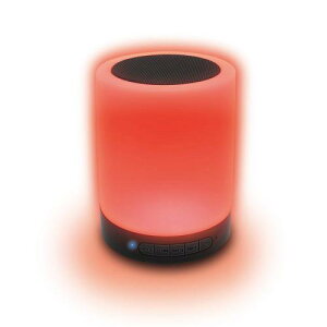 C\ CXC~l[VXs[J[ BT SP-01 KABS-019BqKABS019Br