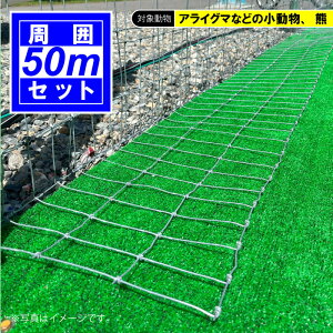 lbg tFX y@Ԃh~ECtFX50mZbg zy tFX  O\ h n n @Ԃ ⋭ C   ߂ ACO} nNrV hbO hK ͎{H D