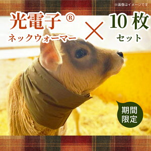 lbN EH[}[ q _yԌzt@[EH[}[iqpdqlbNEH[}[j10Zbg^  EV a  W[W[ h h΍   ~ ~ h ۉ ʋC