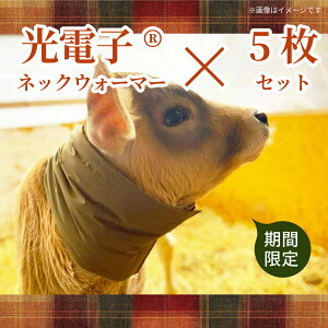 lbN EH[}[ q _yԌzt@[EH[}[iqpdqlbNEH[}[j5Zbg^  EV a  W[W[ h h΍   ~ ~ h ۉ ʋC 